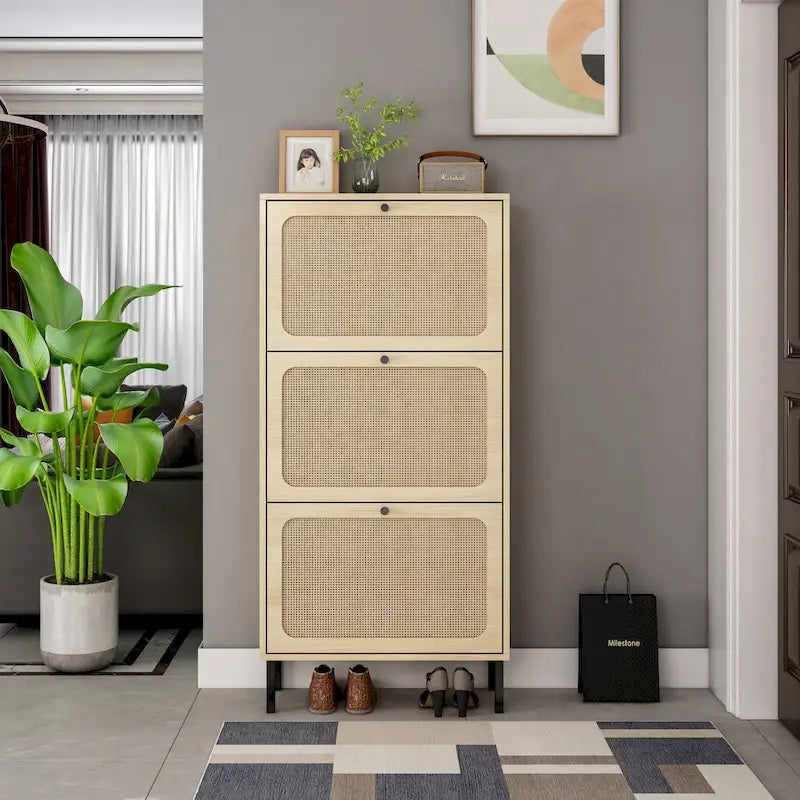 3 Metal Door Shoe RackFreestanding Modern Shoe Storage CabinetMetal rattan for Entryway