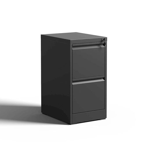2-Drawers 14.96 W Metal Vertical File Cabinet with Lock Office Home Vertical File Cabinet for A4 Legal/Letter Size