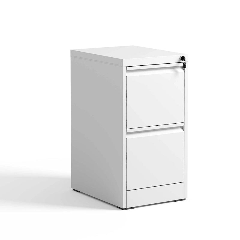 2-Drawers 14.96 W Metal Vertical File Cabinet with Lock Office Home Vertical File Cabinet for A4 Legal/Letter Size